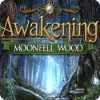 Скачать бесплатную флеш игру Awakening: Moonfell Wood