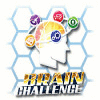 Скачать бесплатную флеш игру Brain Challenge