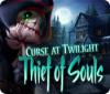 Скачать бесплатную флеш игру Curse at Twilight: Thief of Souls