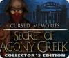 Скачать бесплатную флеш игру Cursed Memories: The Secret of Agony Creek Collector's Edition
