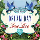 Скачать бесплатную флеш игру Dream Day True Love