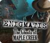 Скачать бесплатную флеш игру Enigmatis: The Ghosts of Maple Creek