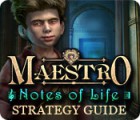 Скачать бесплатную флеш игру Maestro: Notes of Life Strategy Guide