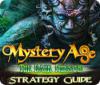 Скачать бесплатную флеш игру Mystery Age: The Dark Priests Strategy Guide