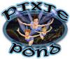 Скачать бесплатную флеш игру Pixie Pond