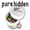 Скачать бесплатную флеш игру Pure Hidden