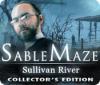 Скачать бесплатную флеш игру Sable Maze: Sullivan River Collector's Edition