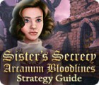 Скачать бесплатную флеш игру Sister's Secrecy: Arcanum Bloodlines Strategy Guide