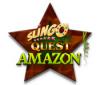 Скачать бесплатную флеш игру Slingo Quest Amazon