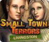 Скачать бесплатную флеш игру Small Town Terrors: Livingston