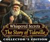 Скачать бесплатную флеш игру Whispered Secrets: The Story of Tideville Collector's Edition