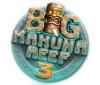 Скачать бесплатную флеш игру Big Kahuna Reef 3