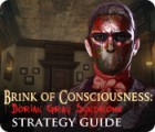 Скачать бесплатную флеш игру Brink of Consciousness: Dorian Gray Syndrome Strategy Guide