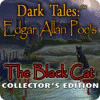 Скачать бесплатную флеш игру Dark Tales: Edgar Allan Poe's The Black Cat Collector's Edition