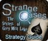 Скачать бесплатную флеш игру Strange Cases: The Secrets of Grey Mist Lake Strategy Guide
