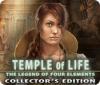 Скачать бесплатную флеш игру Temple of Life: The Legend of Four Elements Collector's Edition