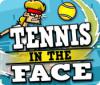 Скачать бесплатную флеш игру Tennis in the Face